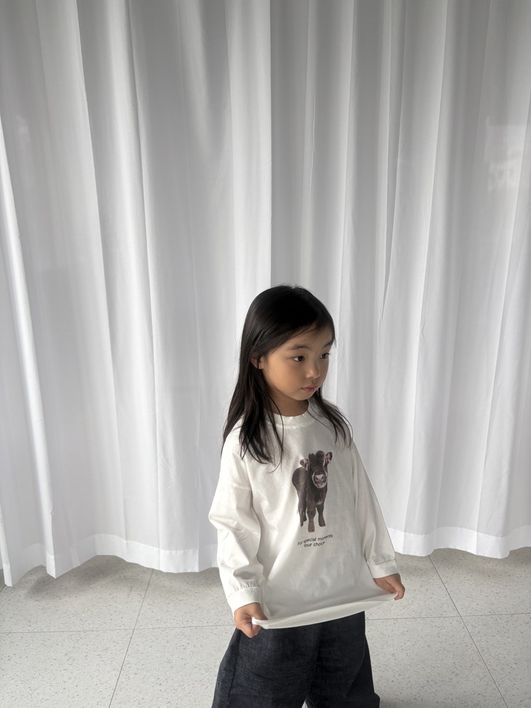 子牛T 3