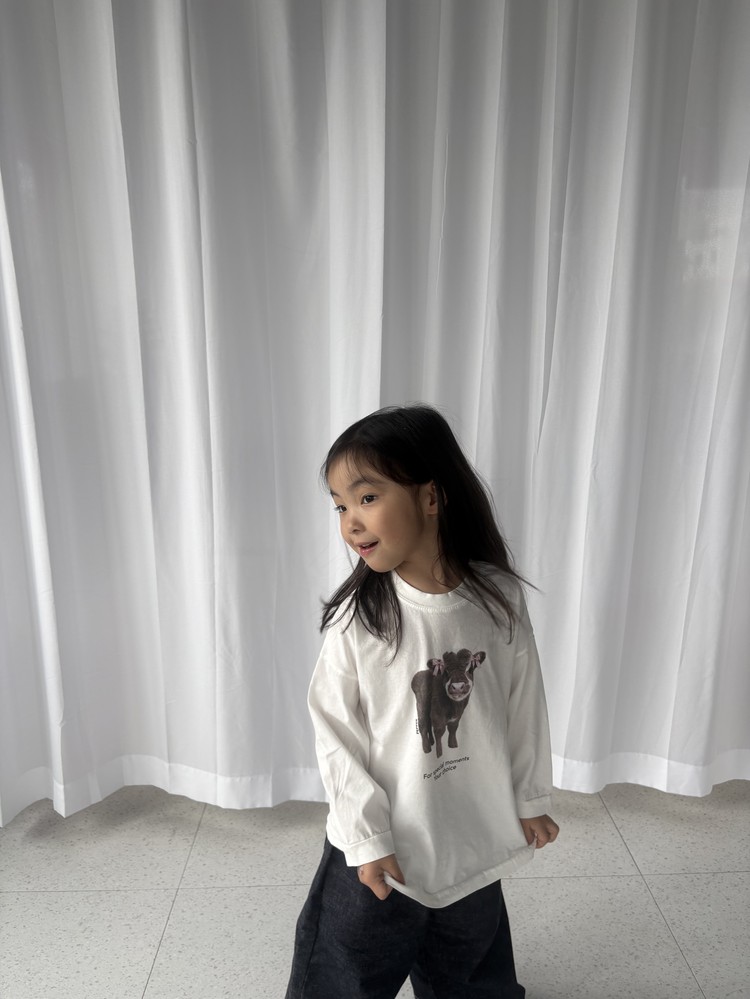 子牛T 4
