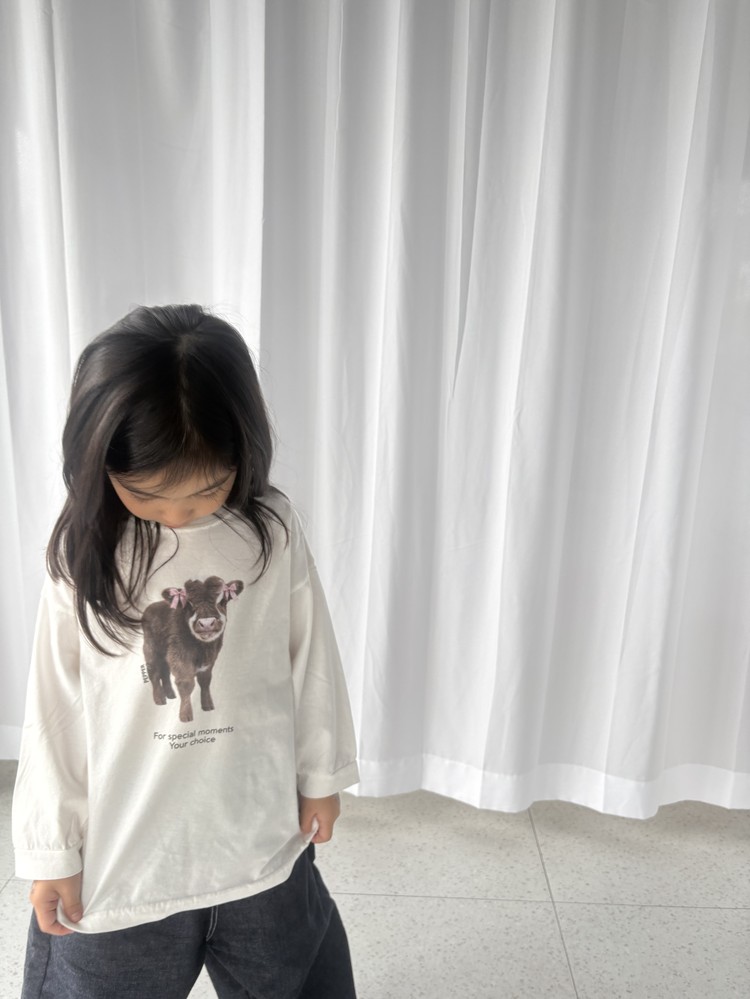 子牛T 6