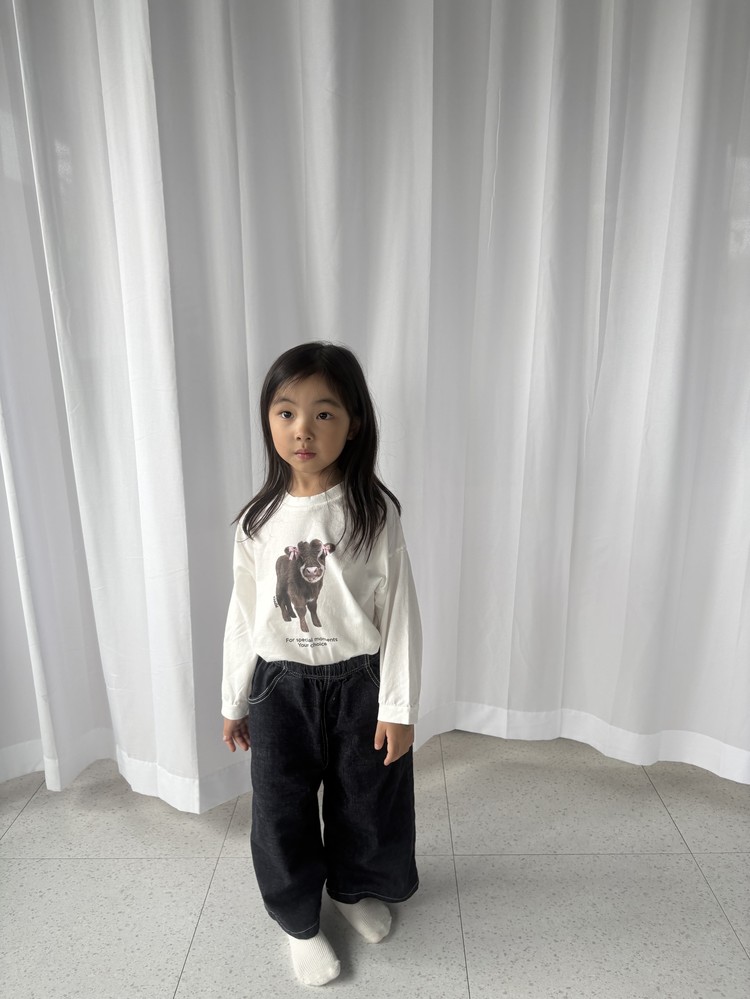 子牛T 13