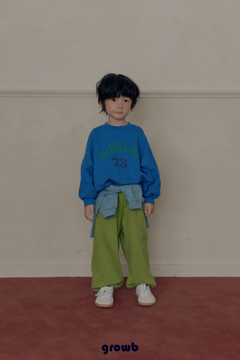 フロンティアトレーナー 7
