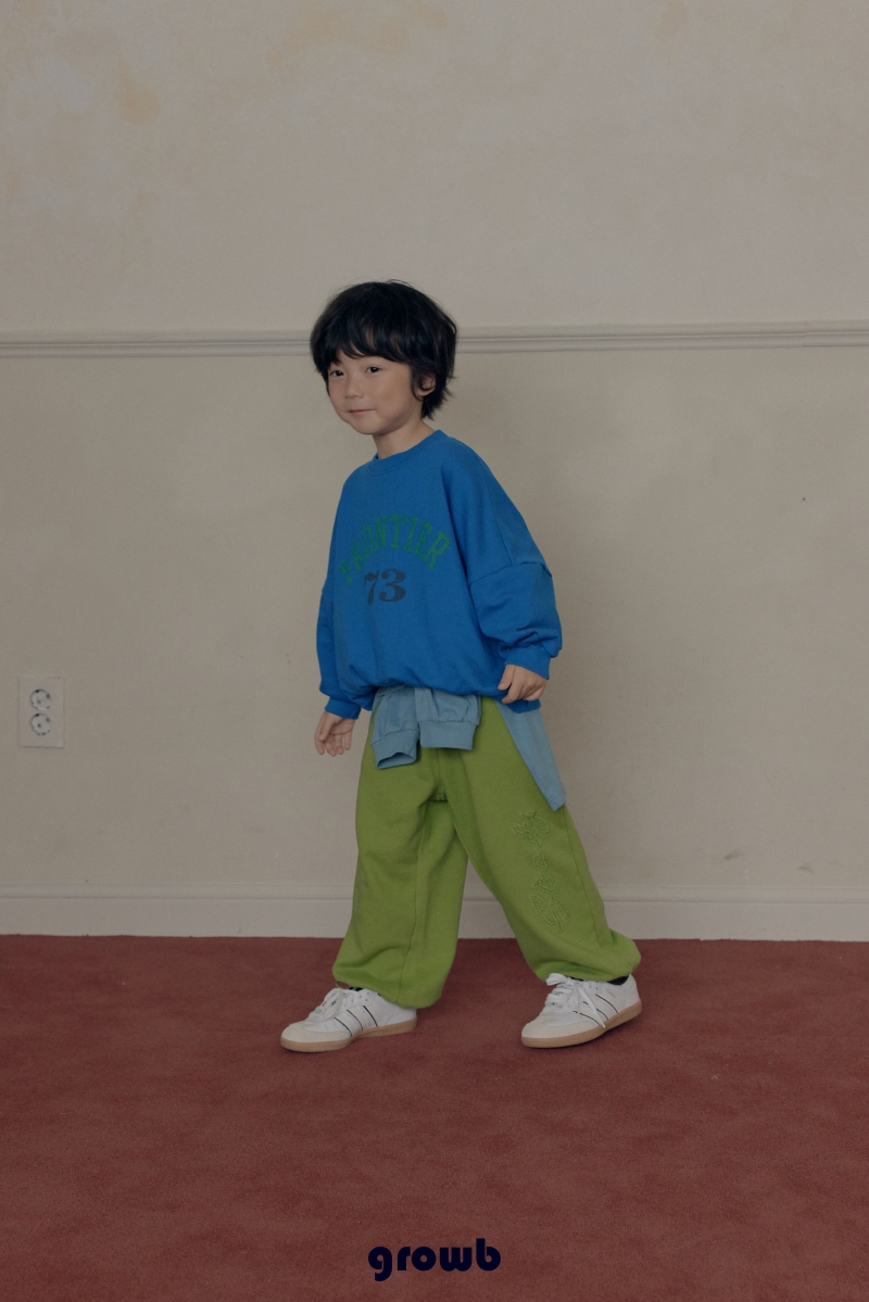 フロンティアトレーナー 11