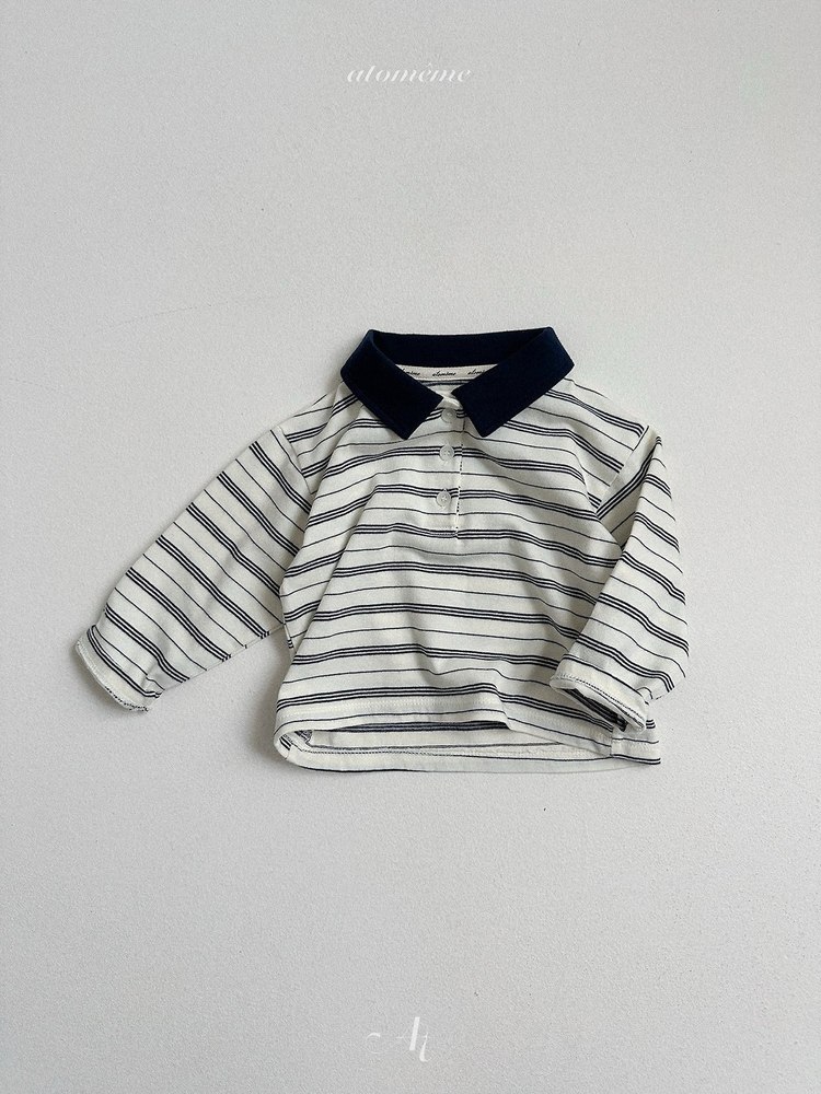 エイデンカラーT 9