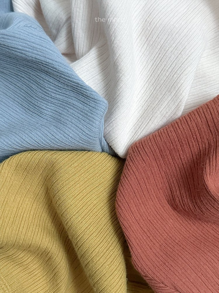 クリティックリブTシャツ 5