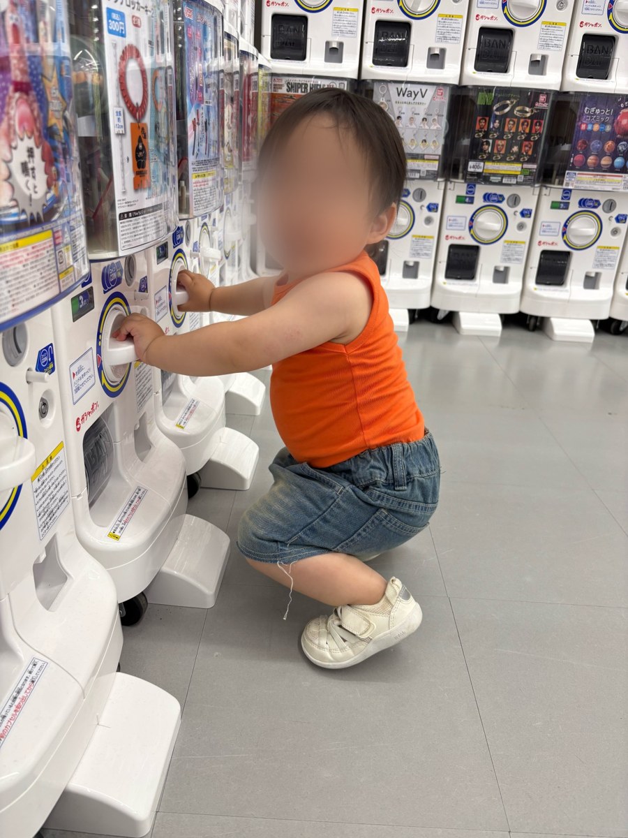 着用写真
