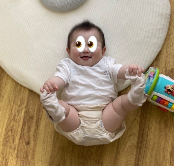 着用写真