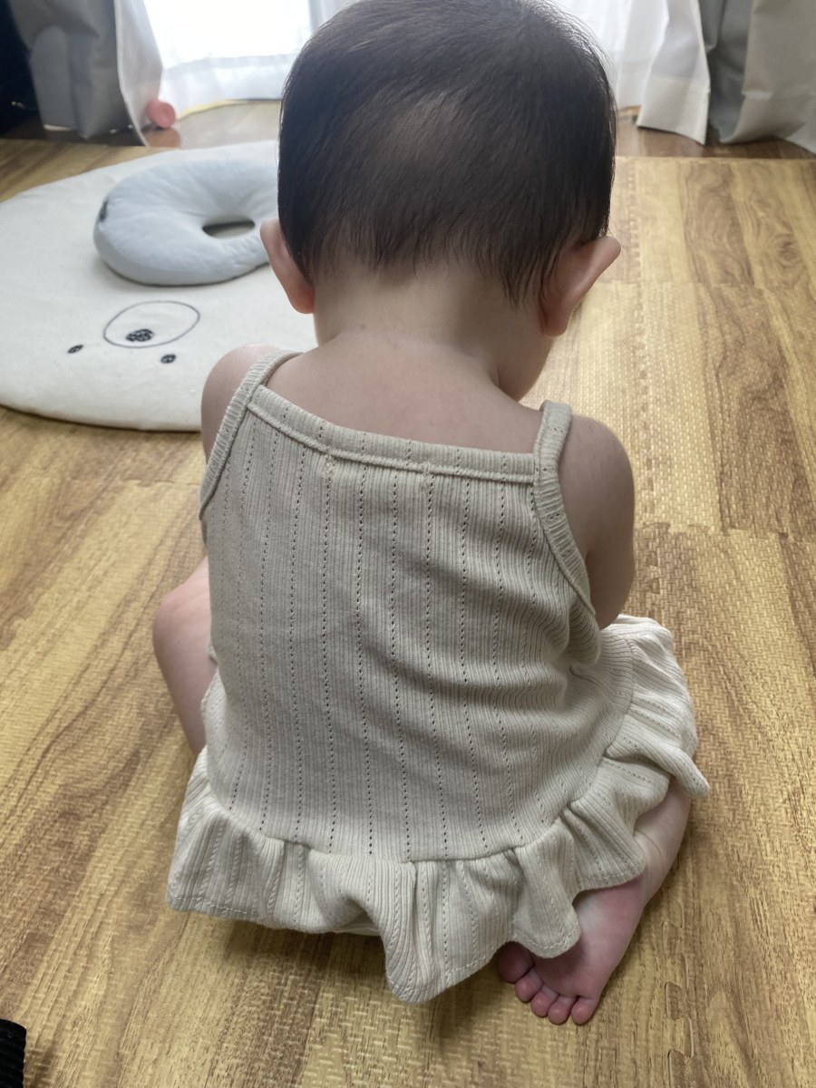 着用写真