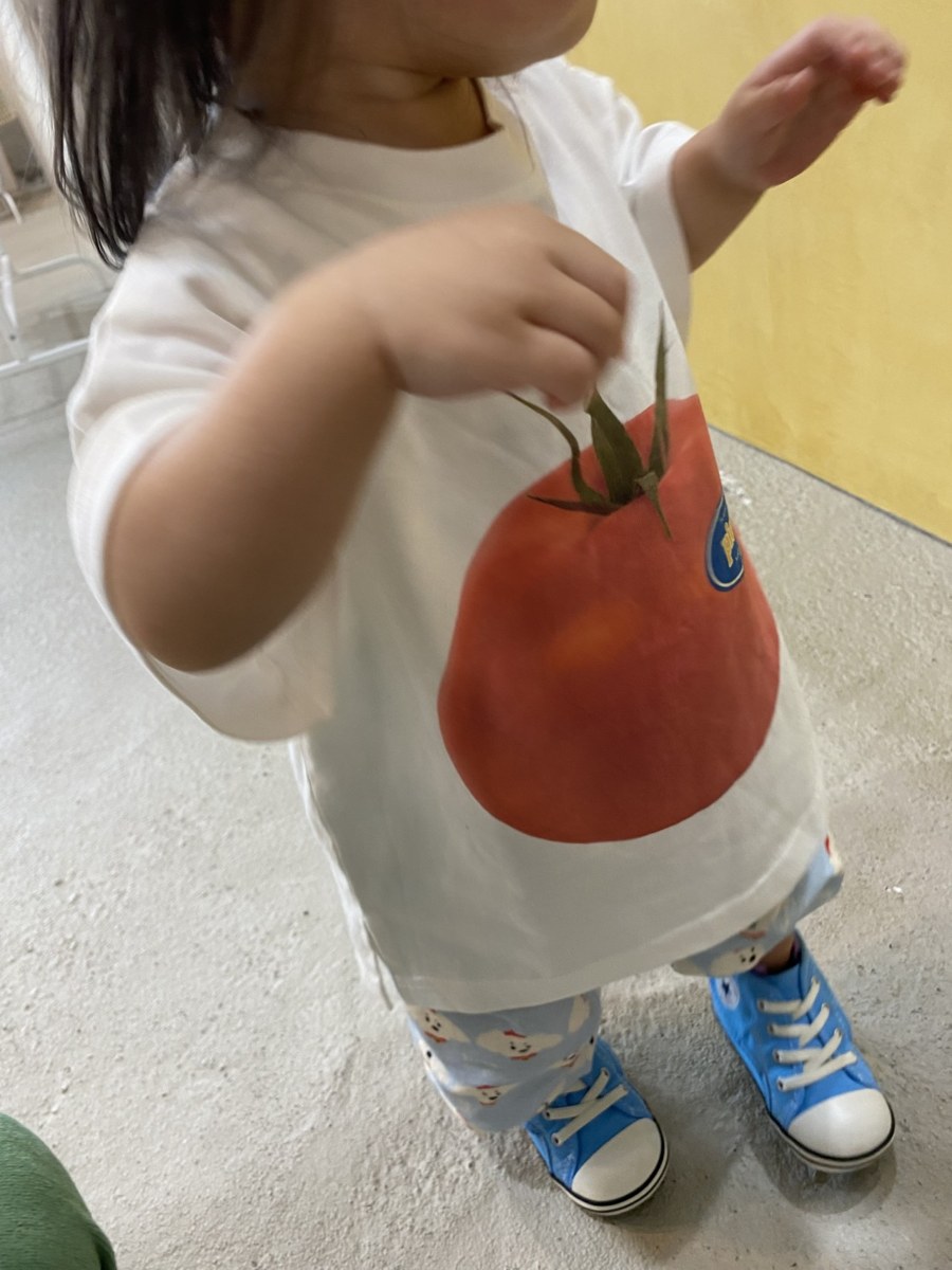 着用写真